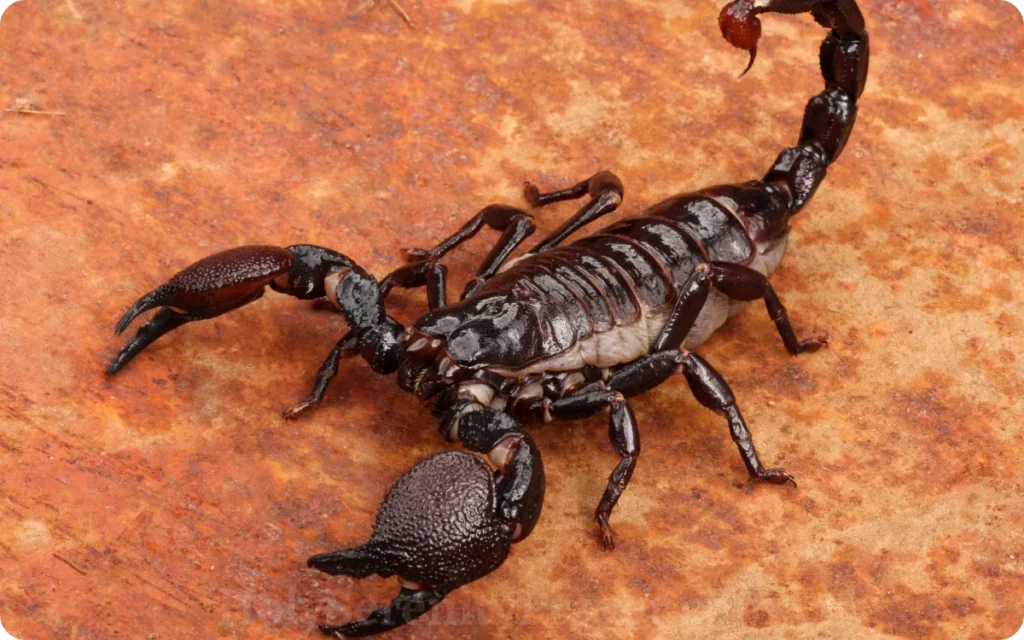 call-to-spiritual-awakening