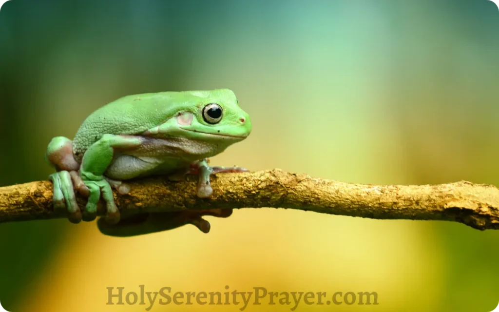 symbol-of-adaptability