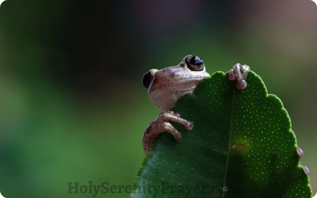 symbol-of-authentic-identity